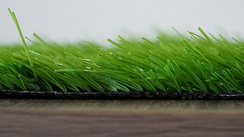 grass carpet